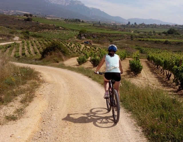 骑自行车穿过葡萄园 